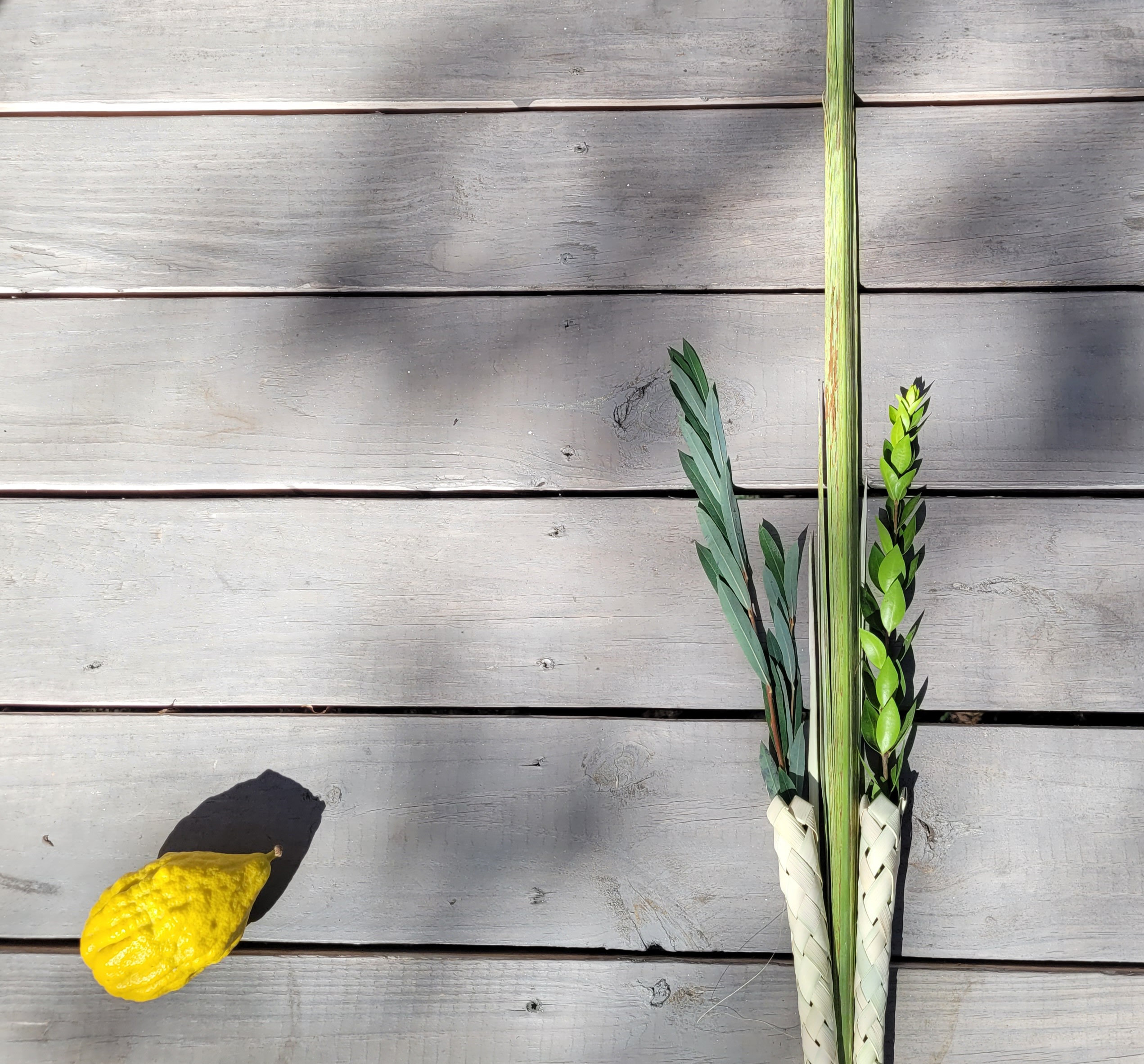 Sukkot and the rebuilding of David’s tent