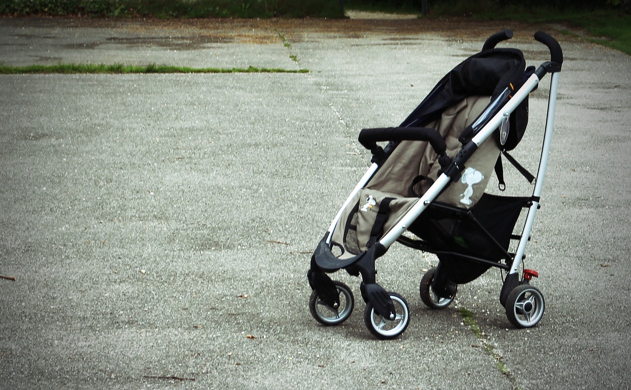 Never Argue With a Stroller